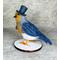 Back and side view of robin